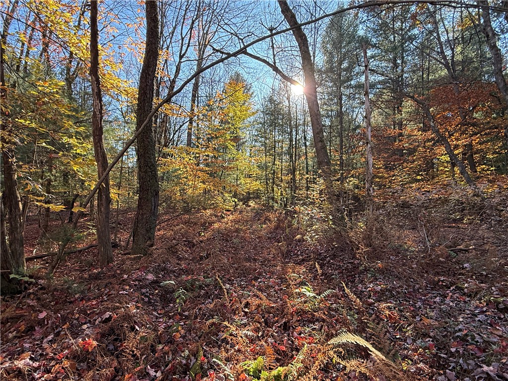 23 County Route Constantia, NY 13044 - Photo 2 of 49