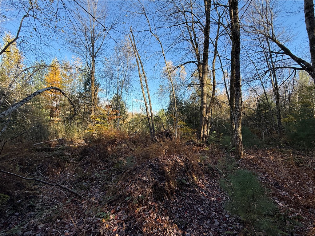 23 County Route Constantia, NY 13044 - Photo 21 of 49