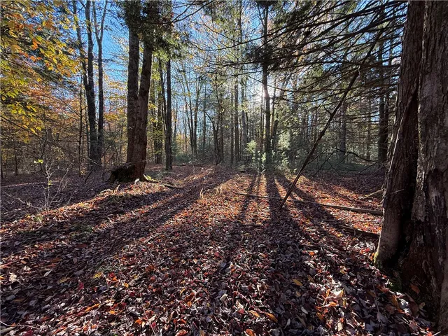 $119,900 | 23 County Route, Constantia, NY 13044