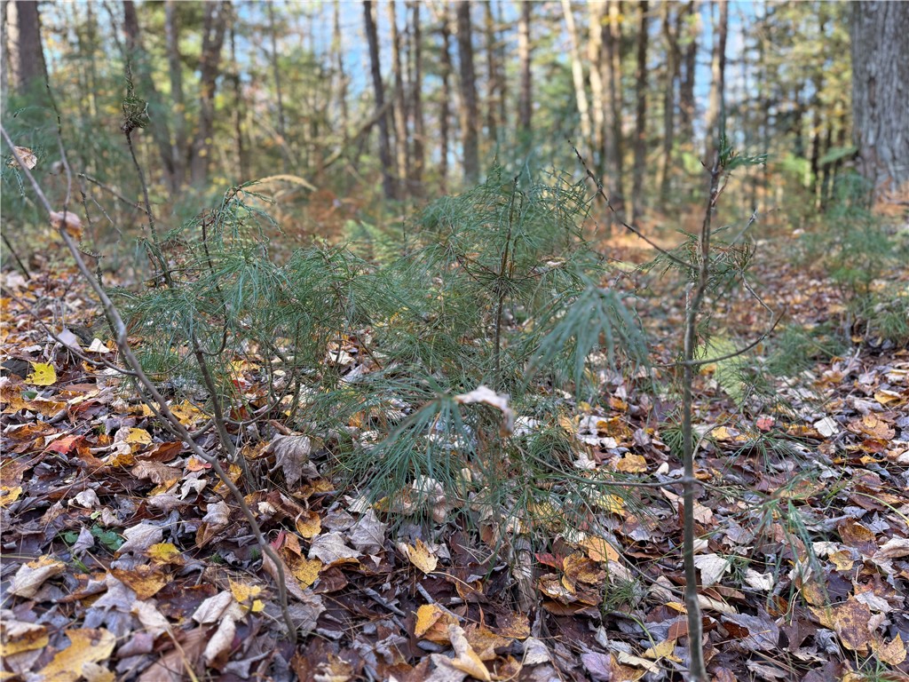 23 County Route Constantia, NY 13044 - Photo 23 of 49