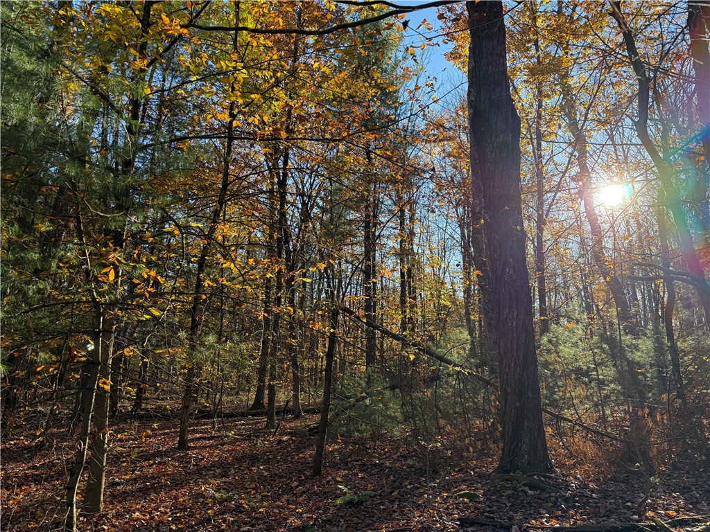 23 County Route Constantia, NY 13044 - Photo 24 of 49