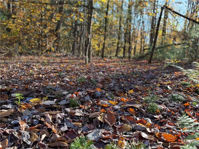 $119,900 | 23 County Route, Constantia, NY 13044