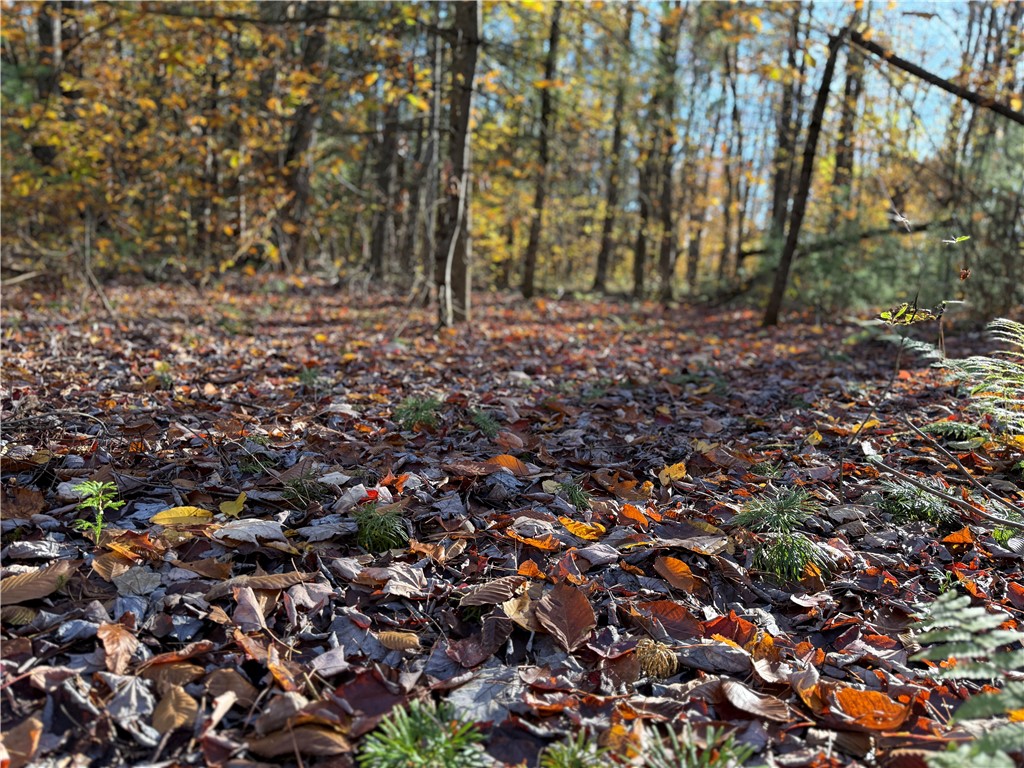 23 County Route Constantia, NY 13044 - Photo 25 of 49