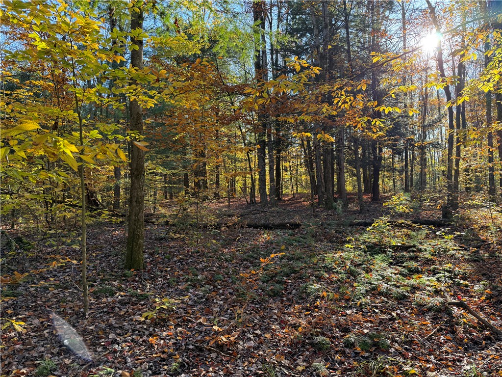 23 County Route Constantia, NY 13044 - Photo 26 of 49