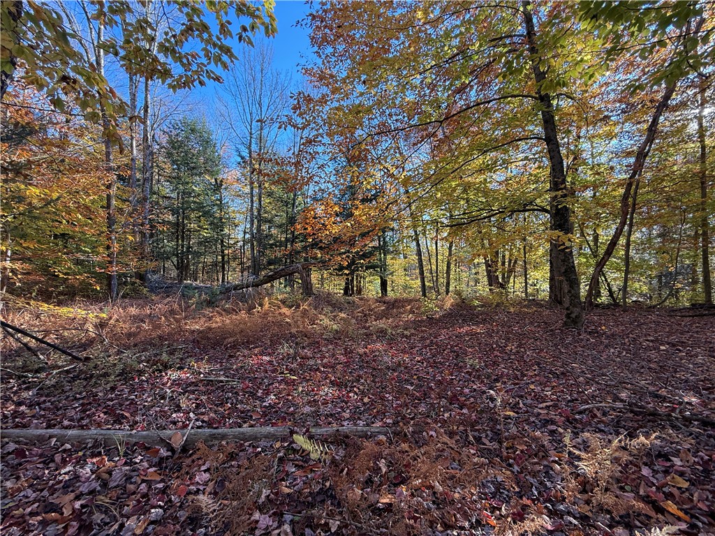 23 County Route Constantia, NY 13044 - Photo 27 of 49