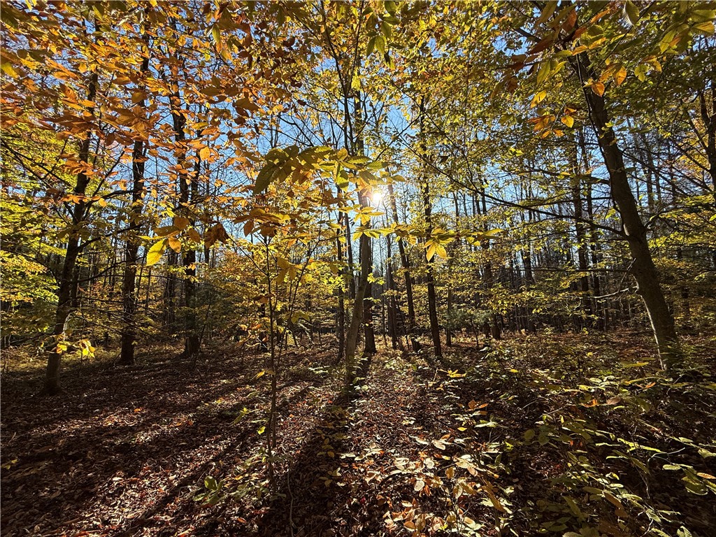 23 County Route Constantia, NY 13044 - Photo 28 of 49