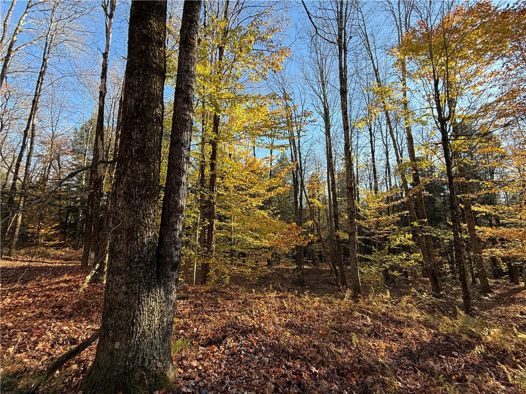 23 County Route Constantia, NY 13044 - Photo 31 of 49