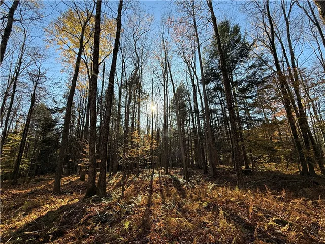 $119,900 | 23 County Route, Constantia, NY 13044