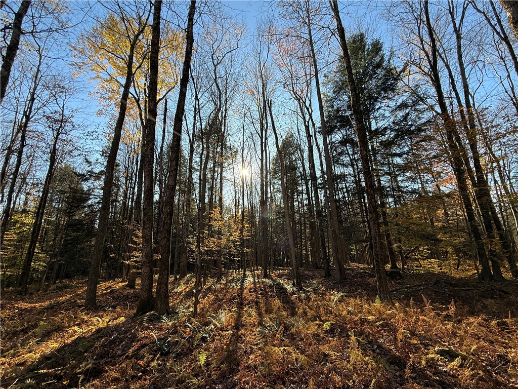 23 County Route Constantia, NY 13044 - Photo 32 of 49