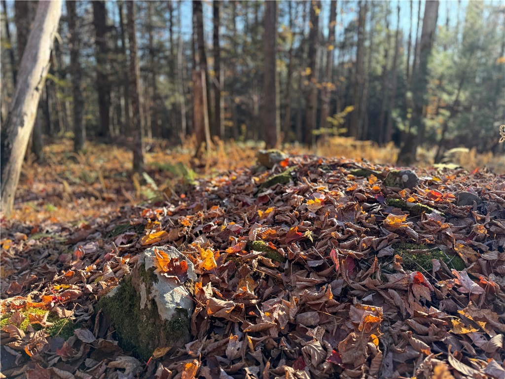 23 County Route Constantia, NY 13044 - Photo 33 of 49