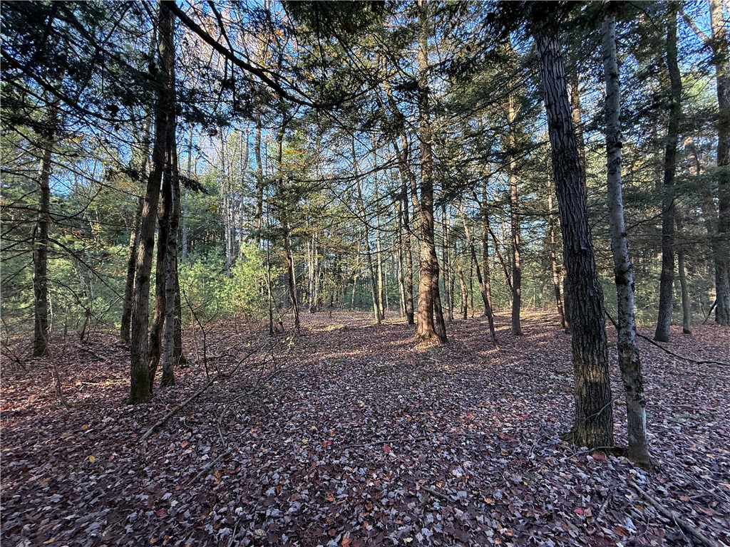 23 County Route Constantia, NY 13044 - Photo 34 of 49