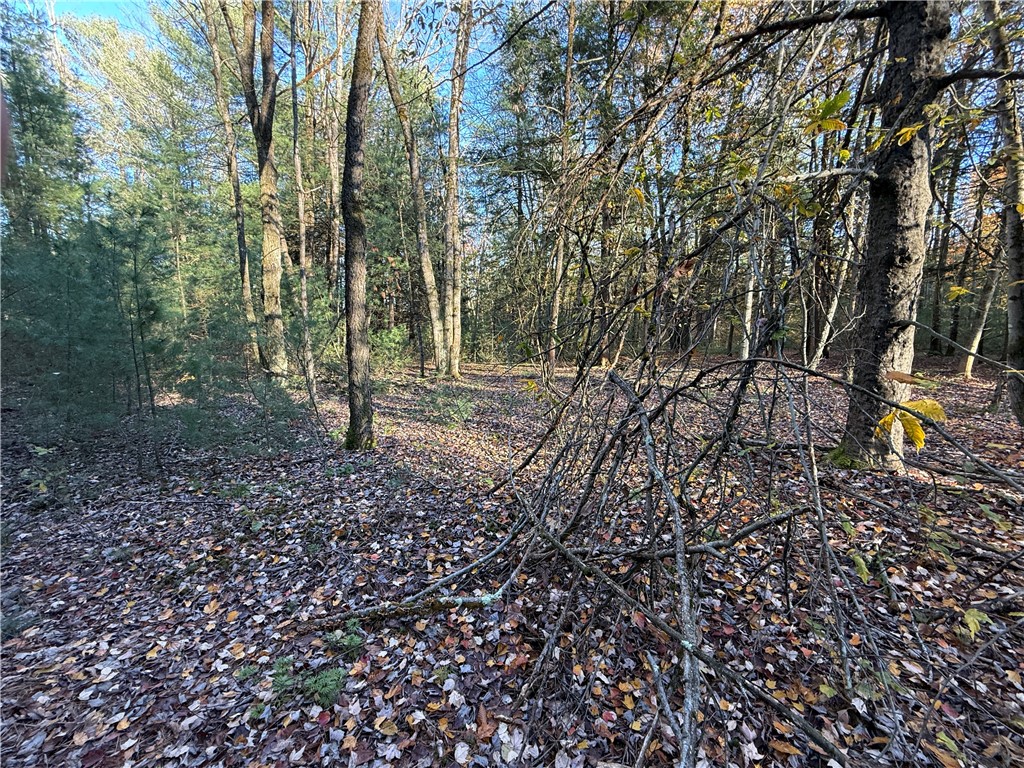 23 County Route Constantia, NY 13044 - Photo 35 of 49