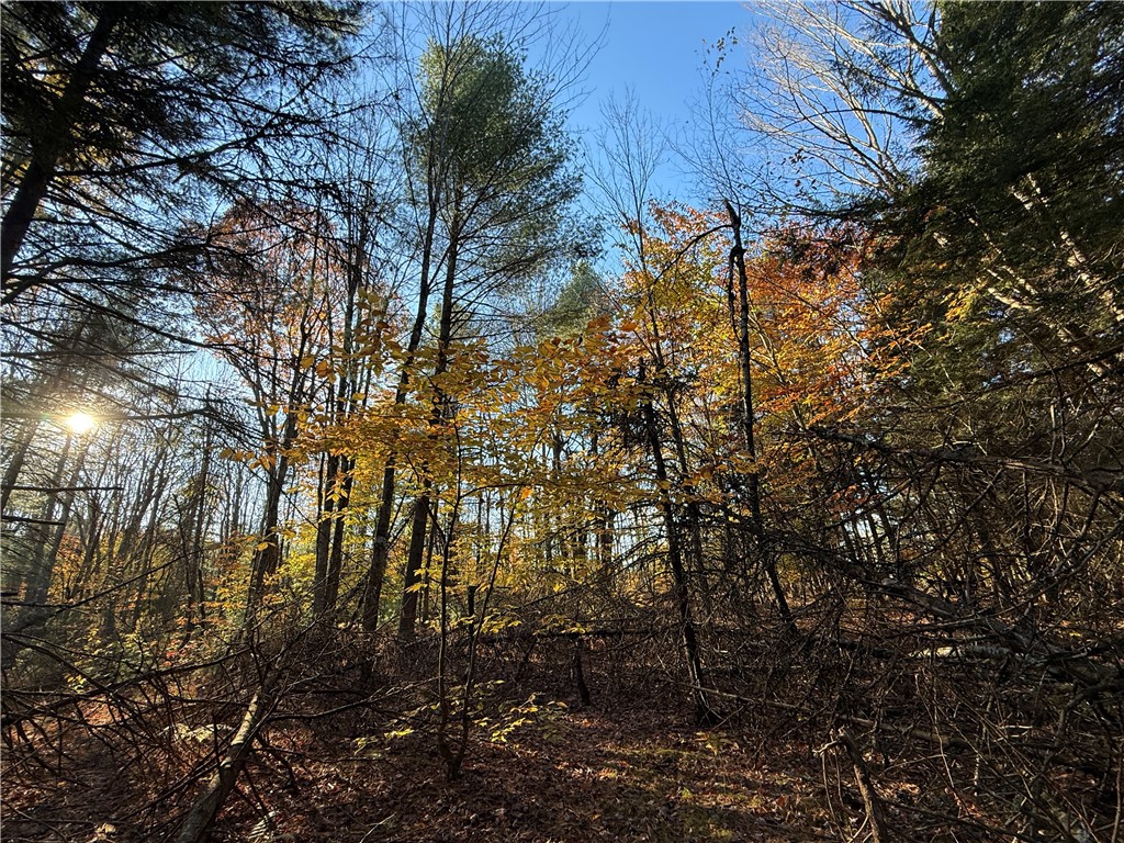 23 County Route Constantia, NY 13044 - Photo 37 of 49