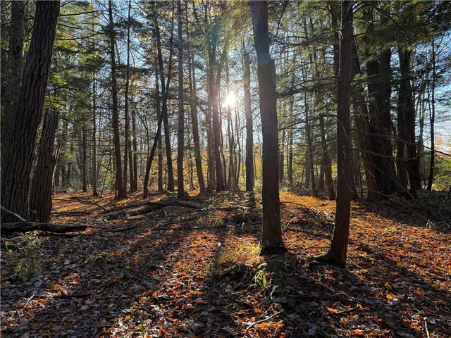 $119,900 | 23 County Route, Constantia, NY 13044