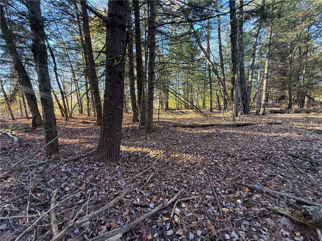 23 County Route Constantia, NY 13044 - Photo 39 of 49