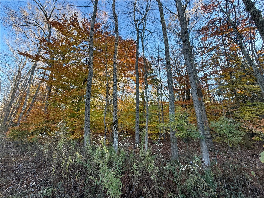 23 County Route Constantia, NY 13044 - Photo 40 of 49