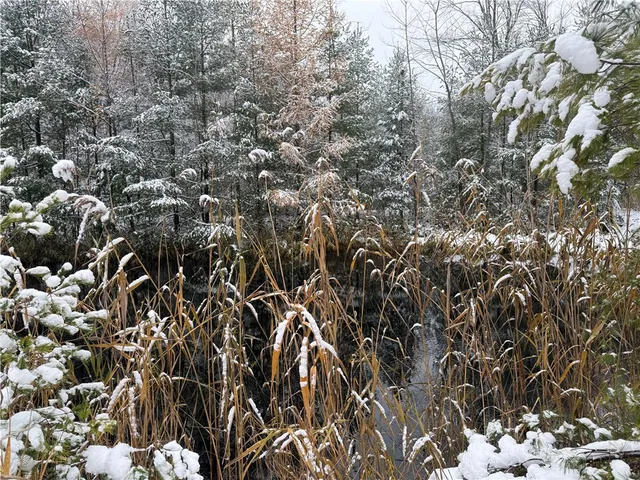 $119,900 | 23 County Route, Constantia, NY 13044