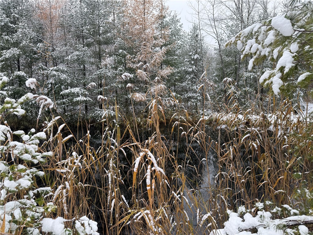 23 County Route Constantia, NY 13044 - Photo 4 of 49