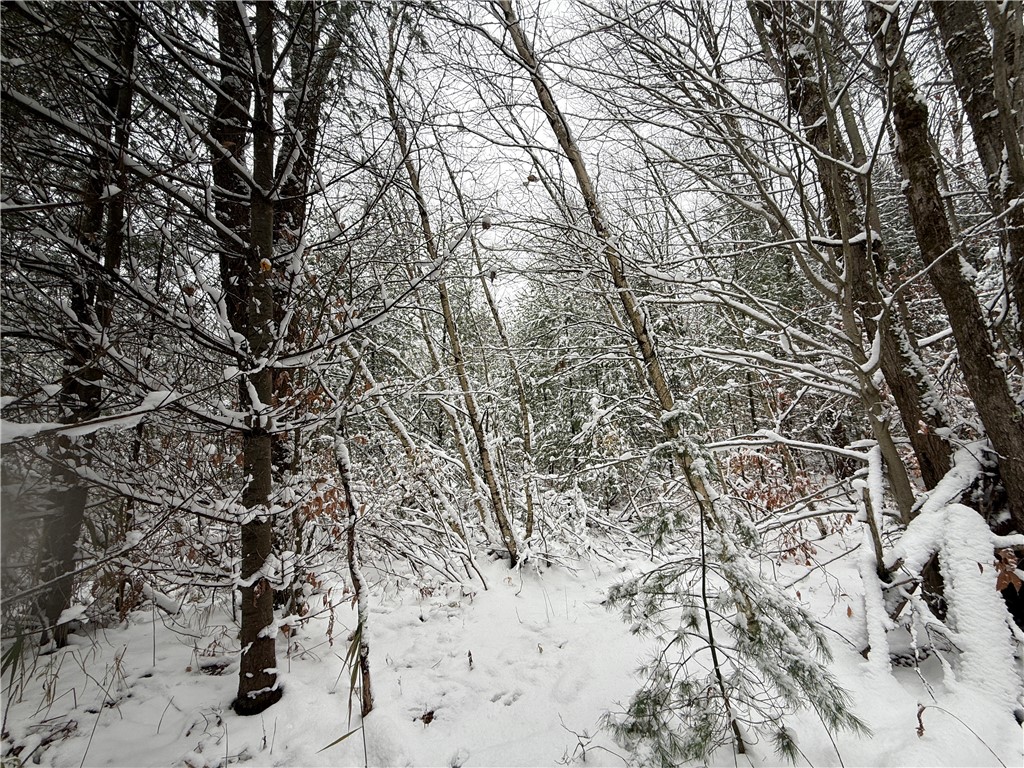 23 County Route Constantia, NY 13044 - Photo 44 of 49