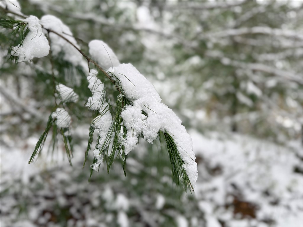 23 County Route Constantia, NY 13044 - Photo 46 of 49