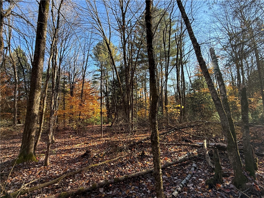 23 County Route Constantia, NY 13044 - Photo 7 of 49