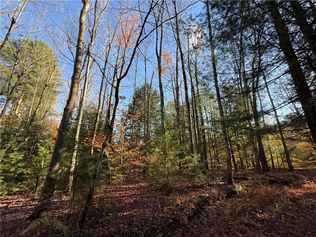 23 County Route Constantia, NY 13044 - Photo 8 of 49