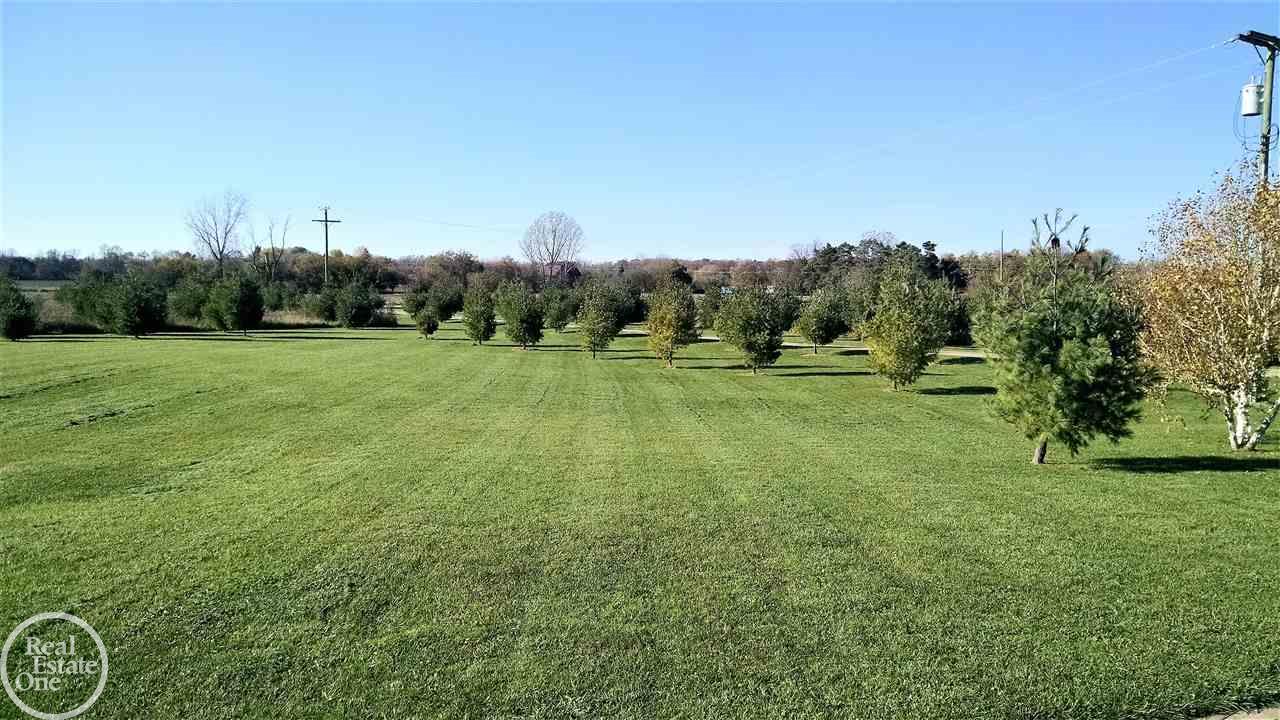 6083 Babcock Road Lexington, MI 48450 - Photo 99 of 99 31335178-98.JPG