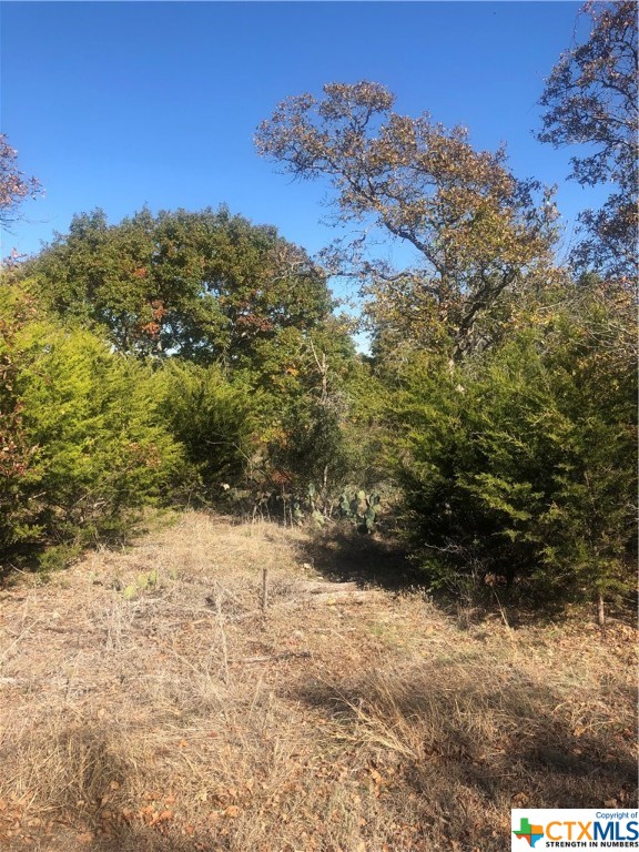 Tbd Elf Trail Belton, TX 76513 - Photo 1 of 1