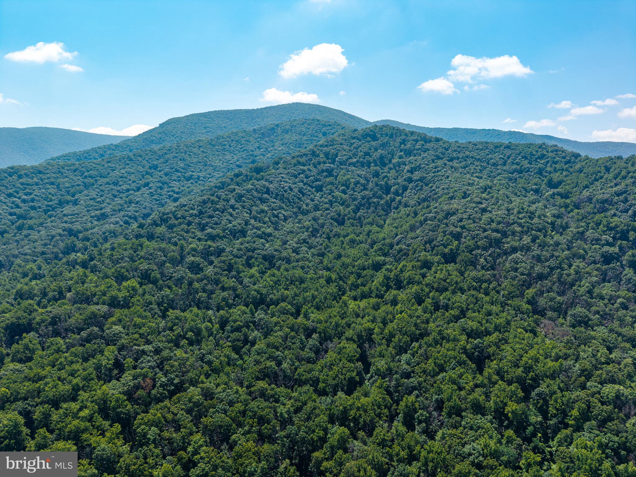 0 Helms Road Stanley, VA 22851 - Photo 17 of 50