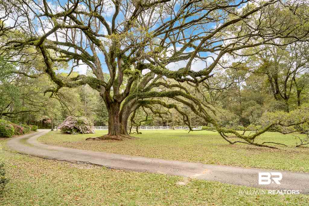 2355 Venetia Road Mobile, AL 36605 - Photo 38 of 48