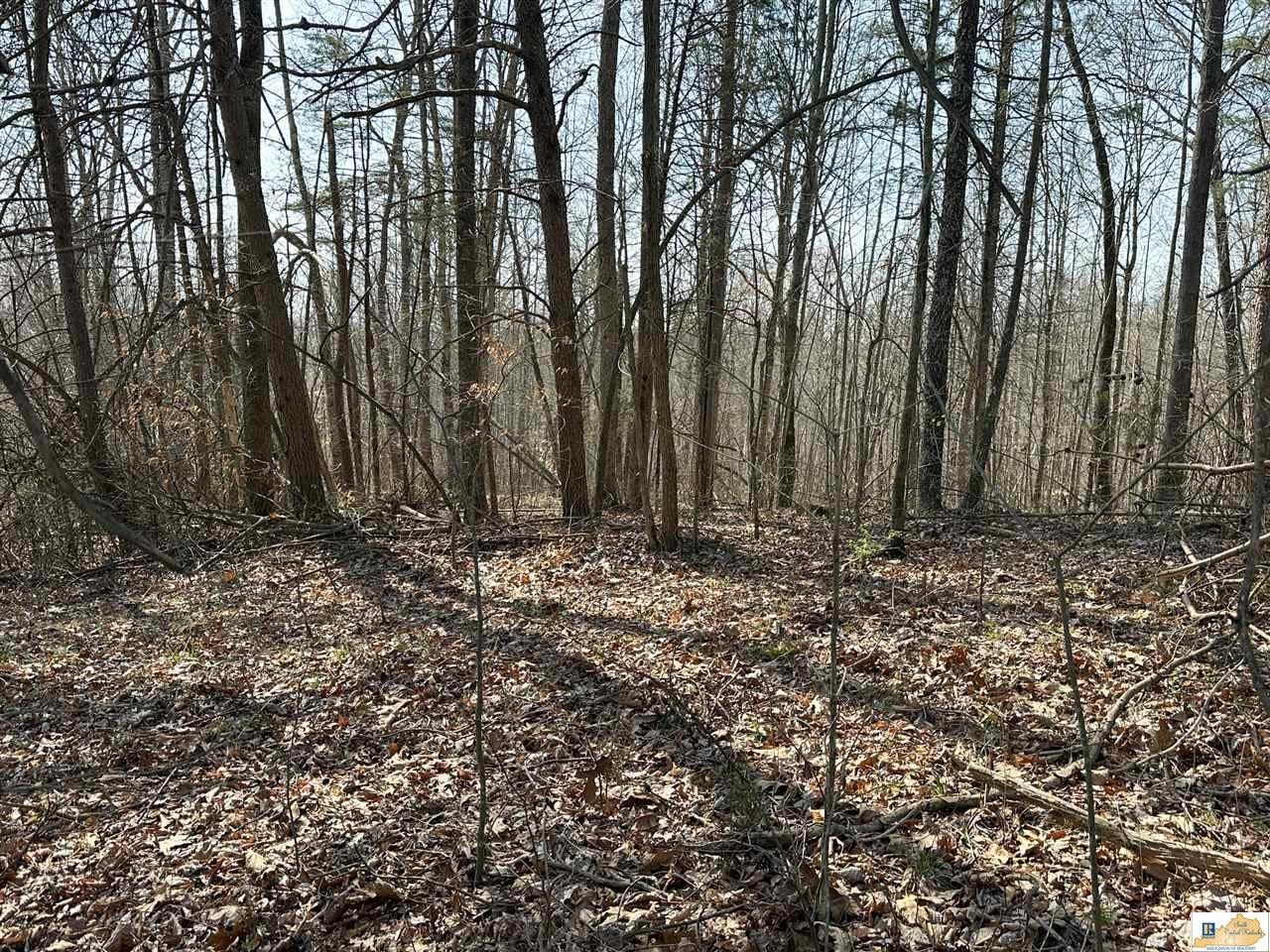 2931 Independence Ridge Road Breeding, KY 42715 - Photo 53 of 54 Gallery Image 53