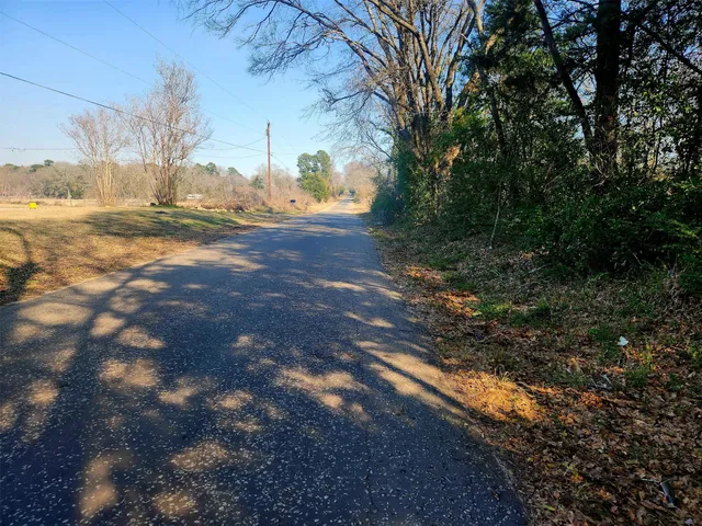 a view of dirt yard with a large tree