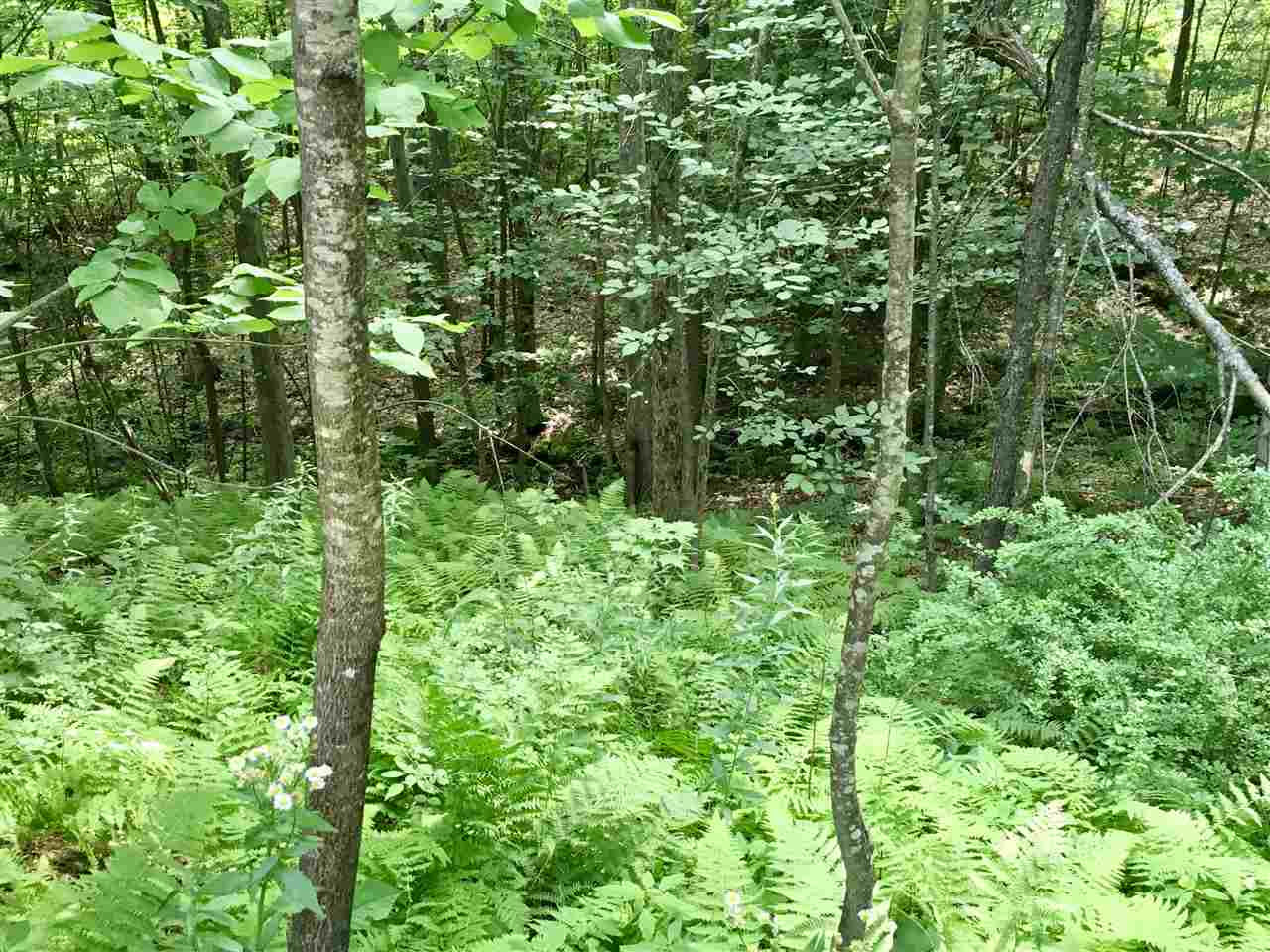 100 New Boston Road Bedford, NH 03110 - Photo 39 of 40