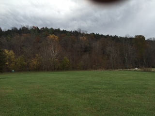 1468 Middle River Road Staunton, VA 24401 - Photo 13 of 16 a view of a grassy field