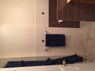 1468 Middle River Road Staunton, VA 24401 - Photo 9 of 16 a bathroom with a sink and a mirror