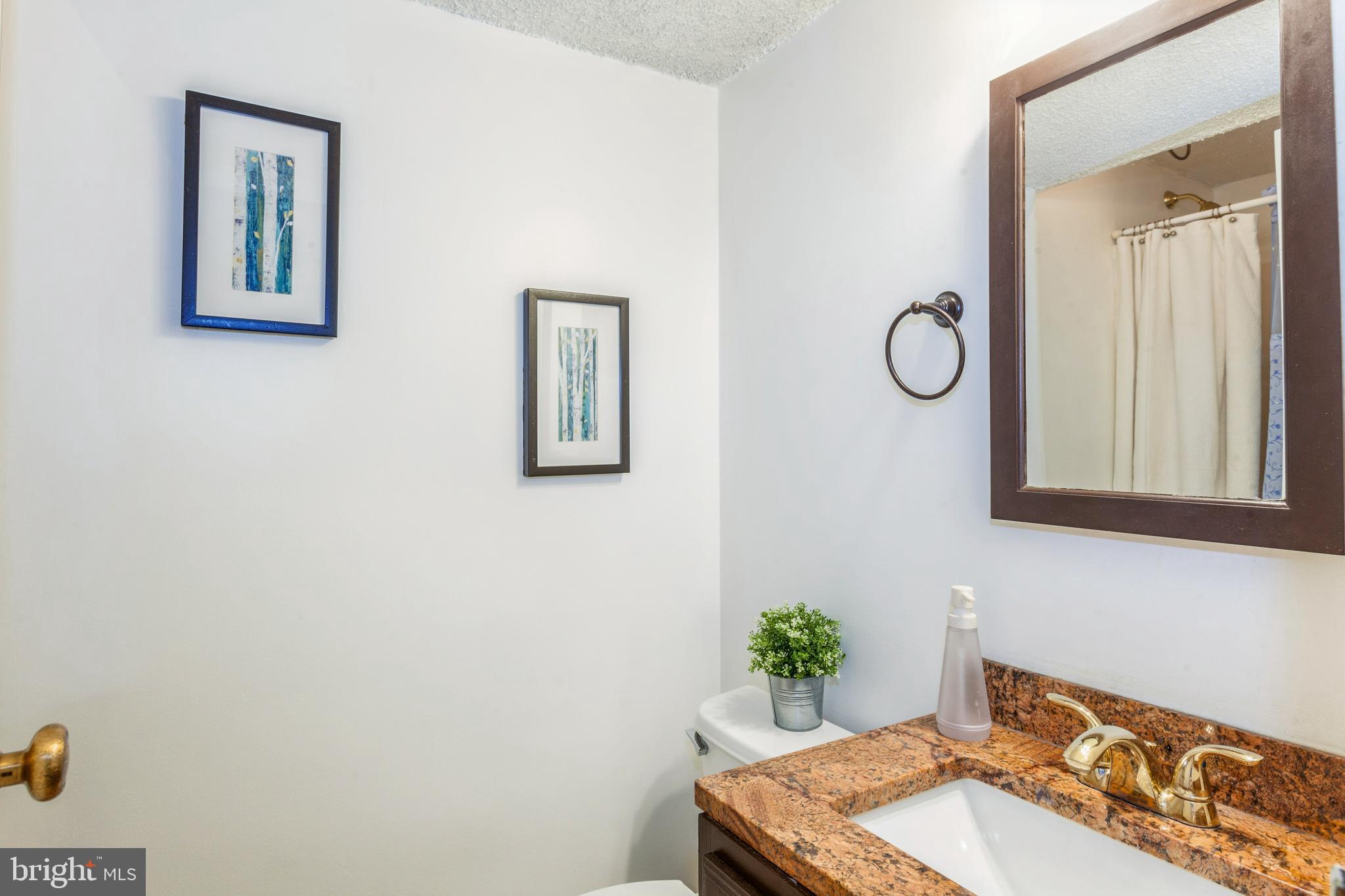 11833 Shire Court, Unit 12C Reston, VA 20191 - Photo 20 of 28 a bathroom with a sink mirror and vanity