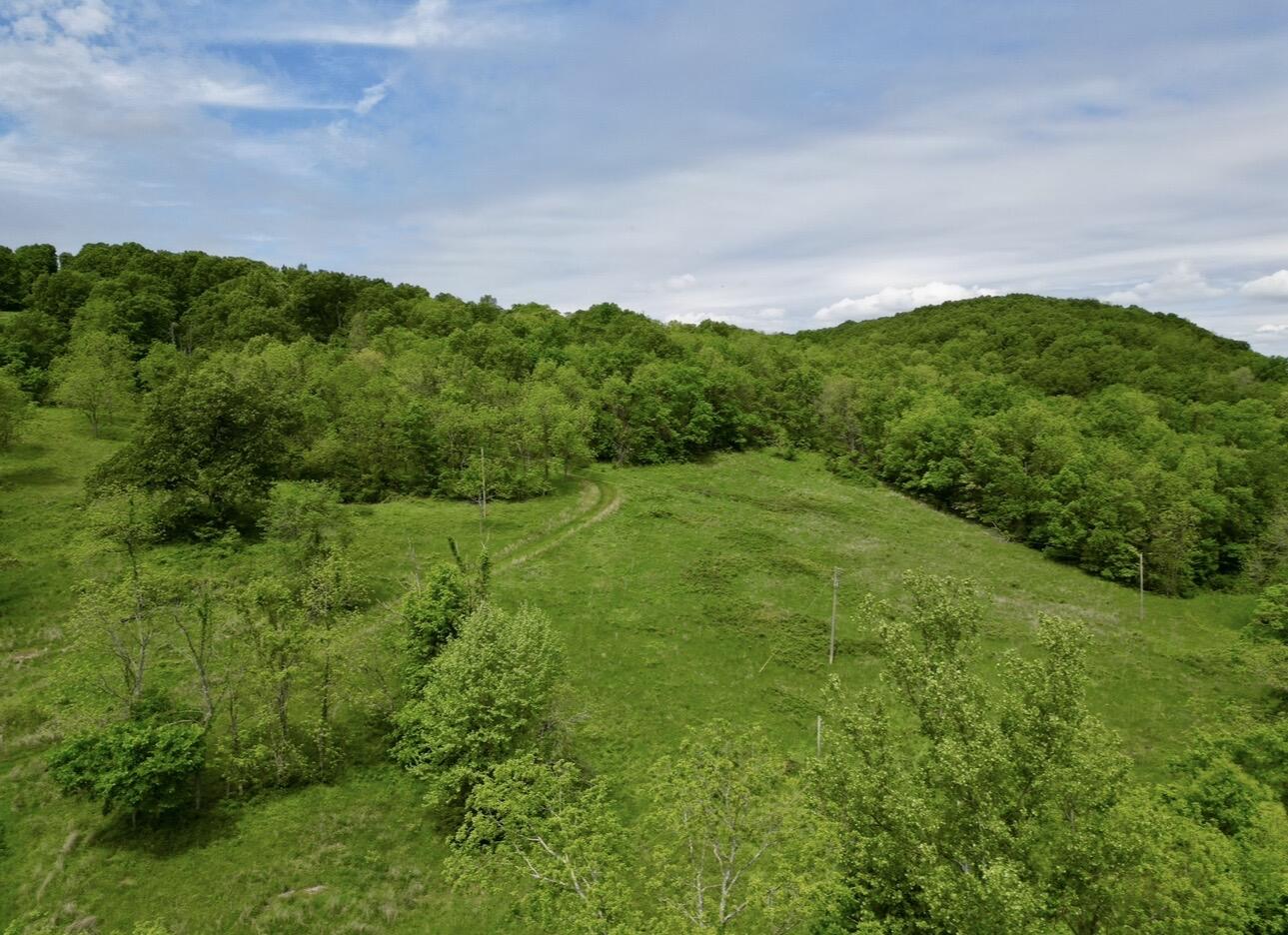 795 Anthony Road Pineville, MO 64856 - Photo 86 of 95 Spring