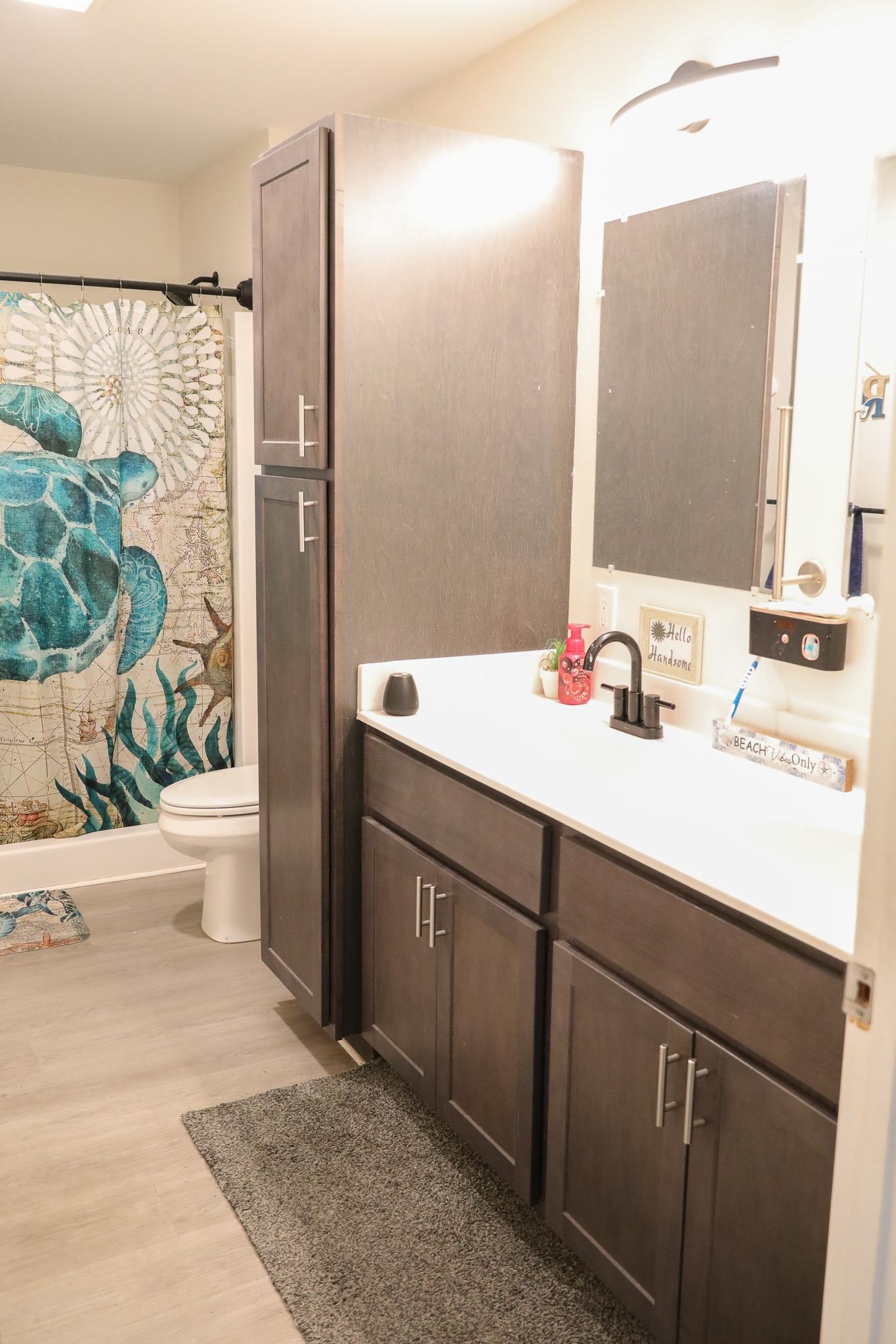 701 Western Road Waynesboro, VA 22980 - Photo 39 of 42 a bathroom with a sink and a mirror