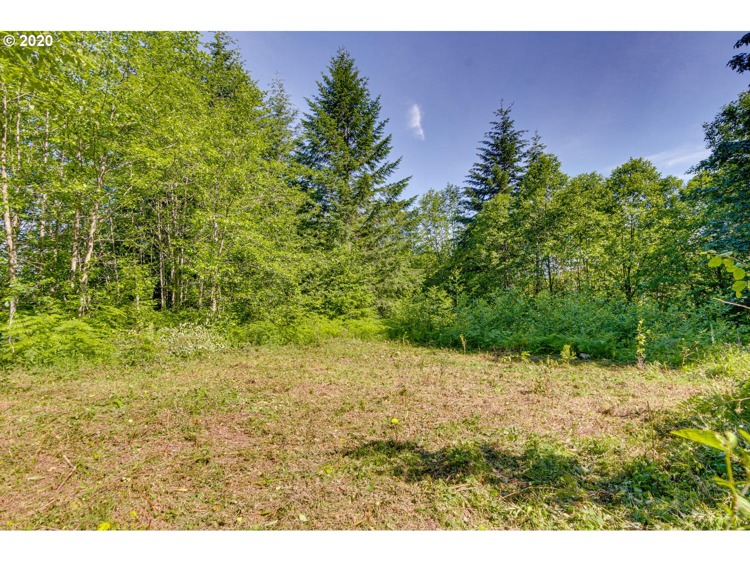 Cedar Falls Road, Unit 2 Washougal, WA 98671 - Photo 14 of 23 Gallery Image 14