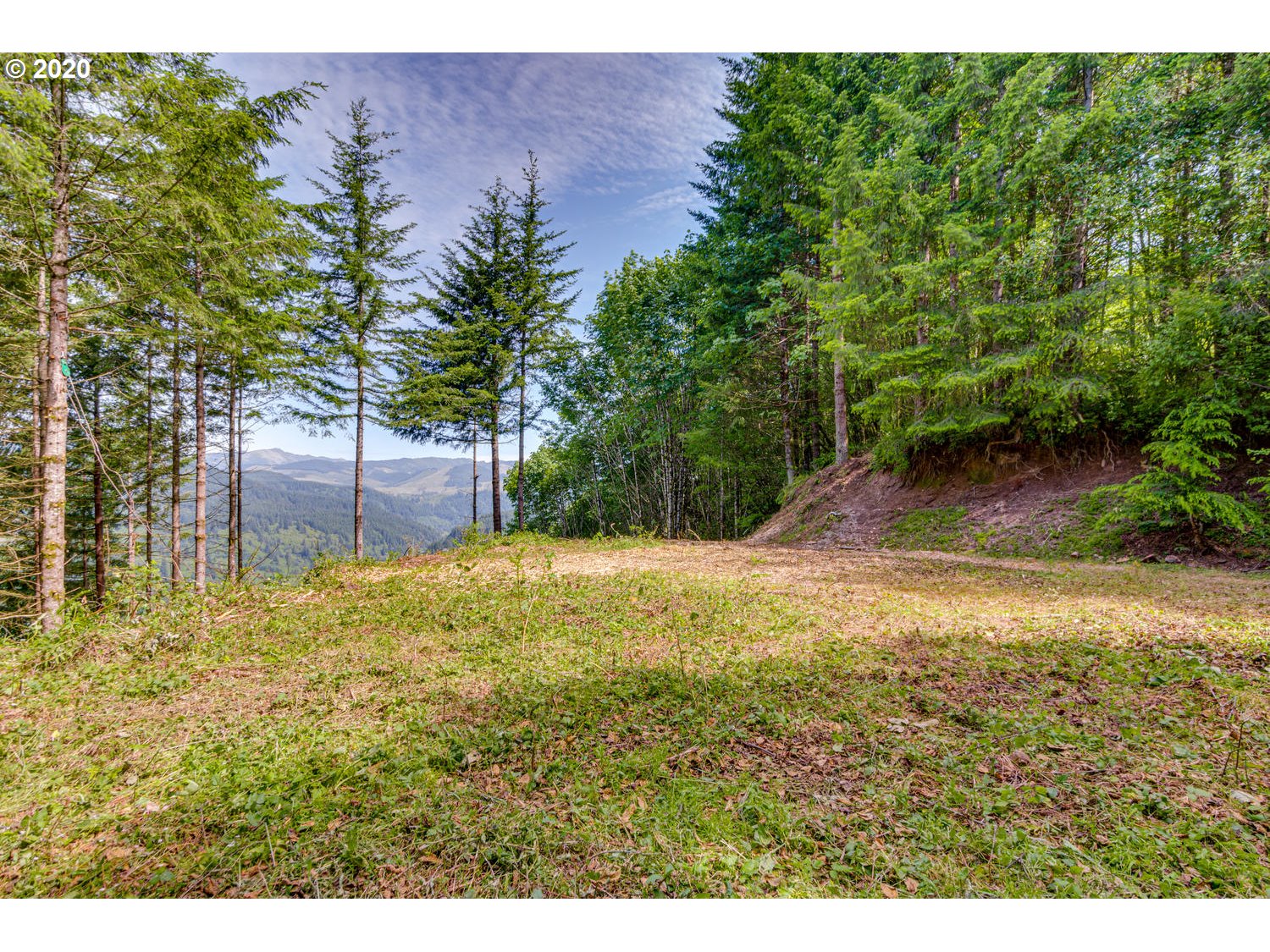 Cedar Falls Road, Unit 2 Washougal, WA 98671 - Photo 3 of 23 Gallery Image 3