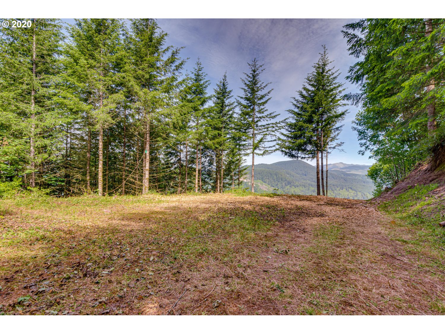 Cedar Falls Road, Unit 2 Washougal, WA 98671 - Photo 4 of 23 Gallery Image 4
