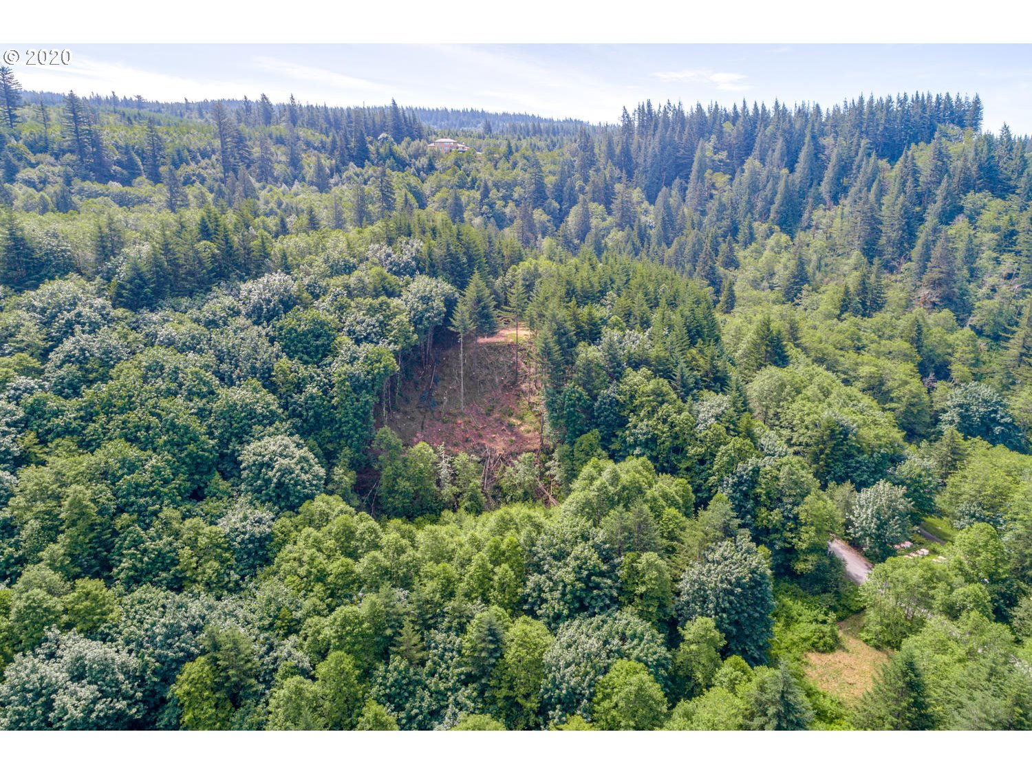 Cedar Falls Road, Unit 2 Washougal, WA 98671 - Photo 8 of 23 Gallery Image 8
