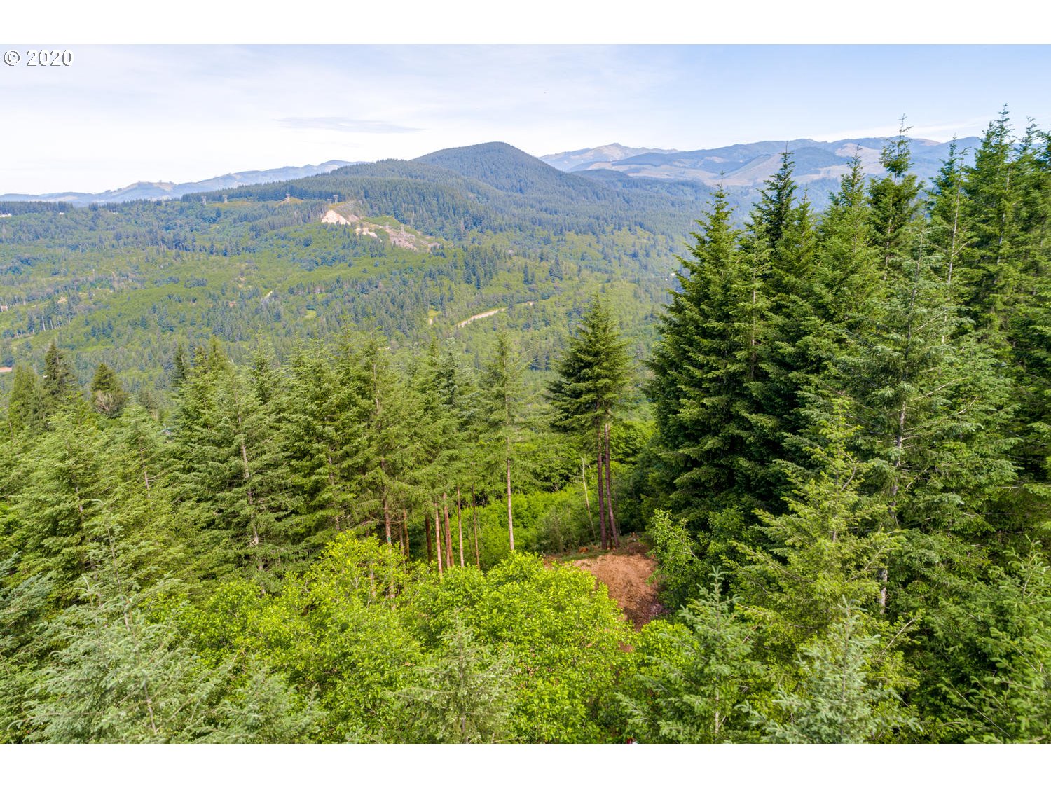 Cedar Falls Road, Unit 2 Washougal, WA 98671 - Photo 10 of 23 Gallery Image 10