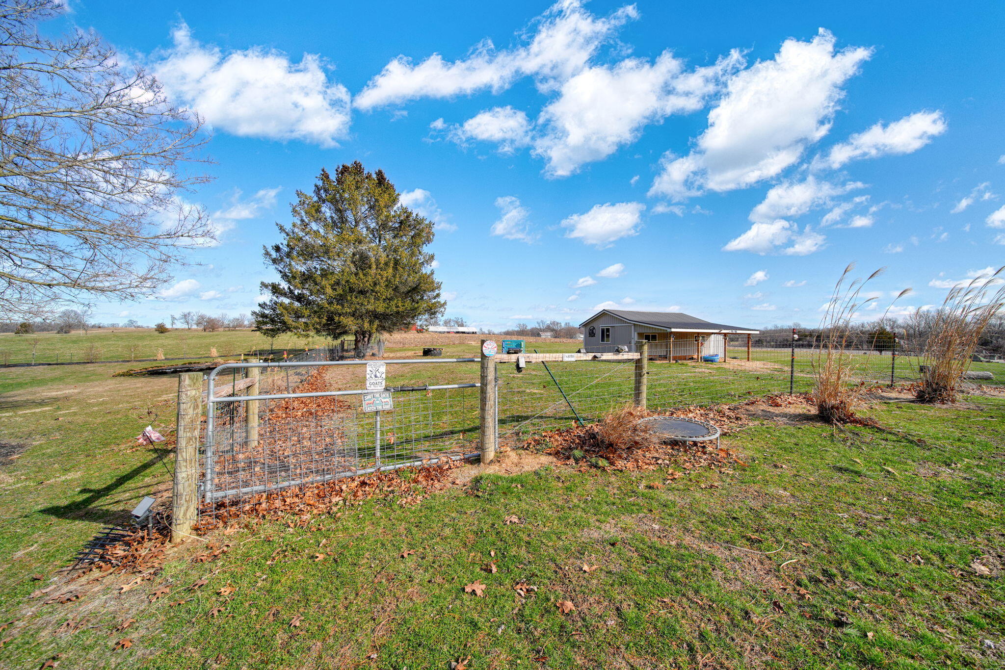 1725 Hemlock Road Quincy, MI 49082 - Photo 89 of 131 75-web-or-mls-DSC08795_HDR