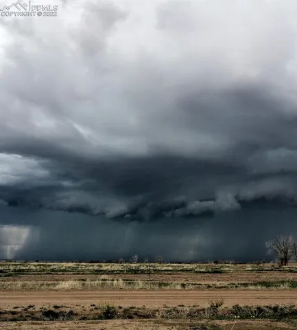 a view of a dry yard with trees