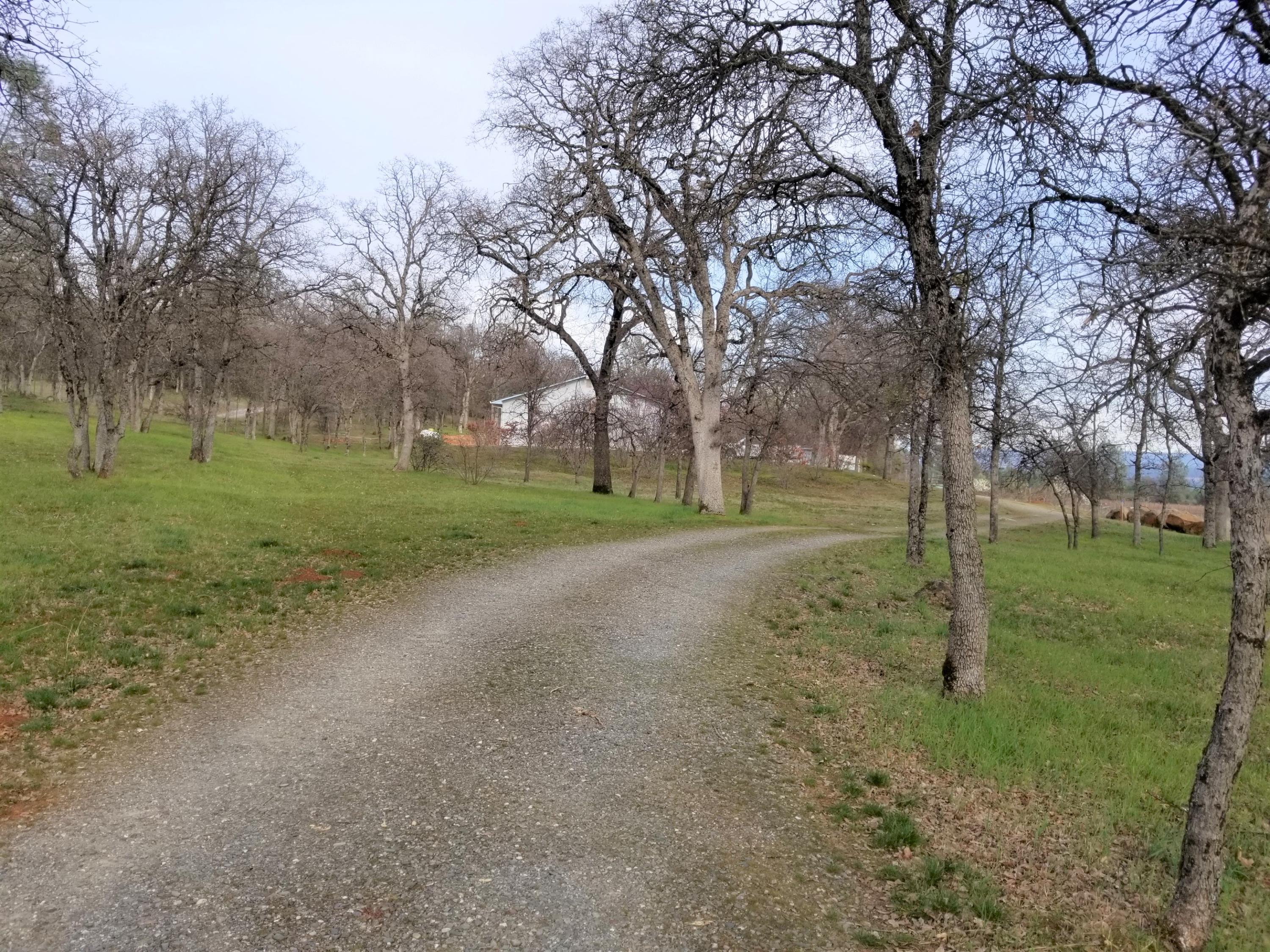 5775 Wilson Hill Road Manton, CA 96059 - Photo 33 of 49 20200228_160255 (2)