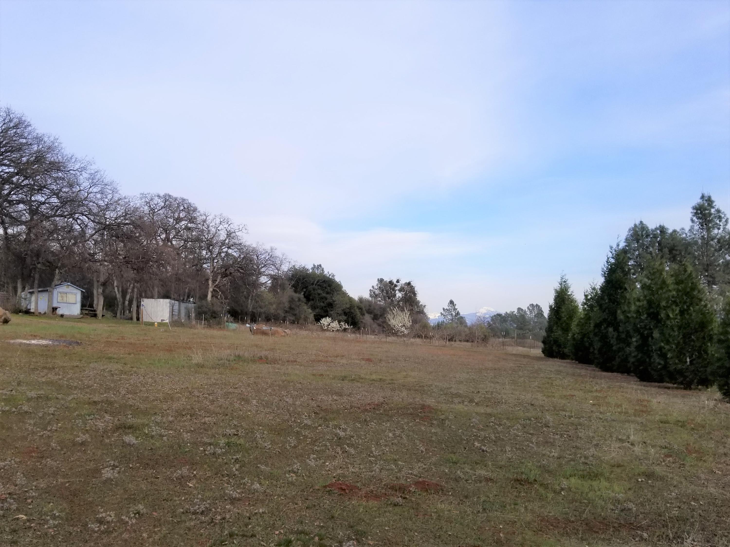 5775 Wilson Hill Road Manton, CA 96059 - Photo 35 of 49 20200228_160504 (2)