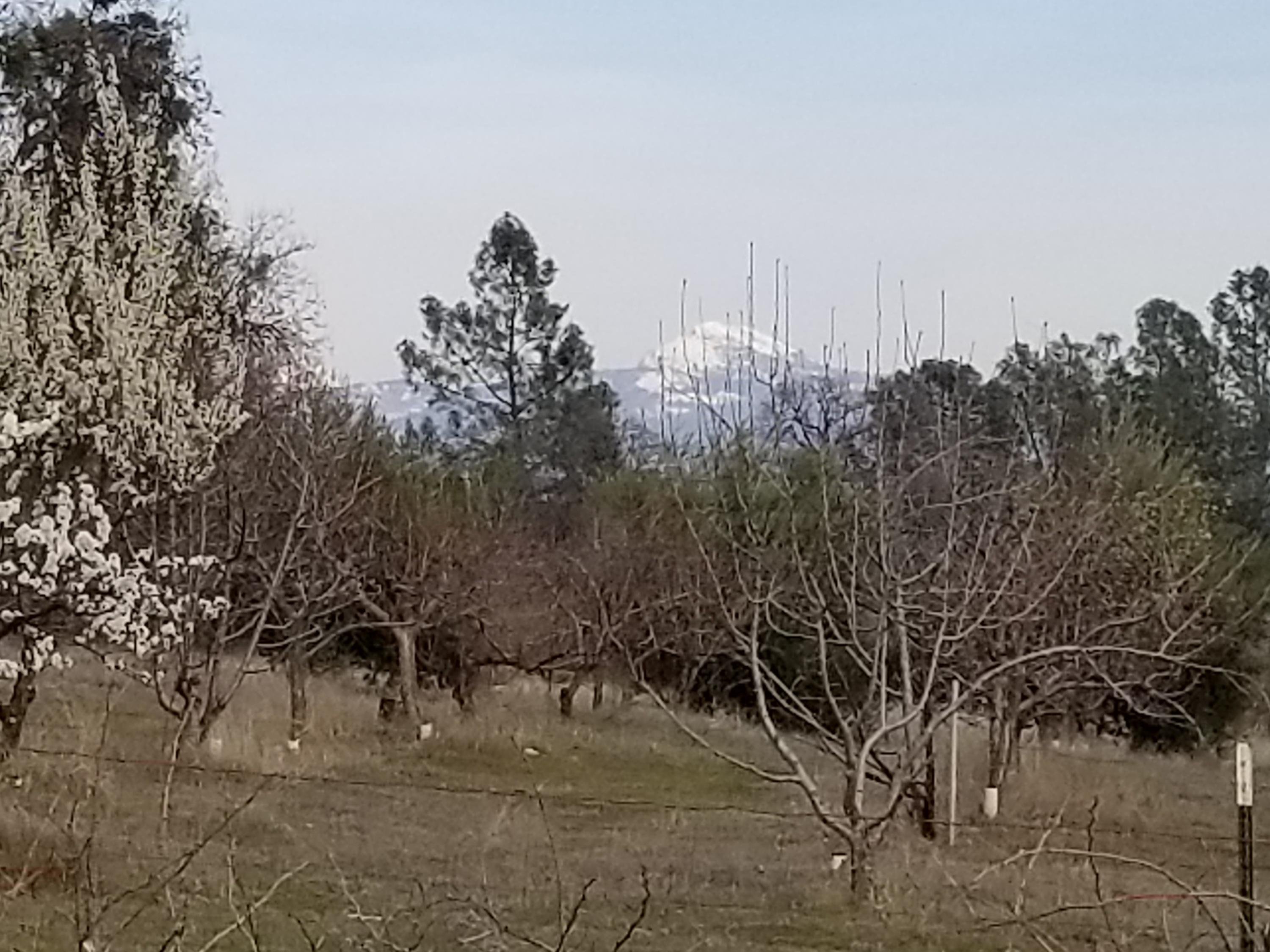 5775 Wilson Hill Road Manton, CA 96059 - Photo 38 of 49 20200228_160658