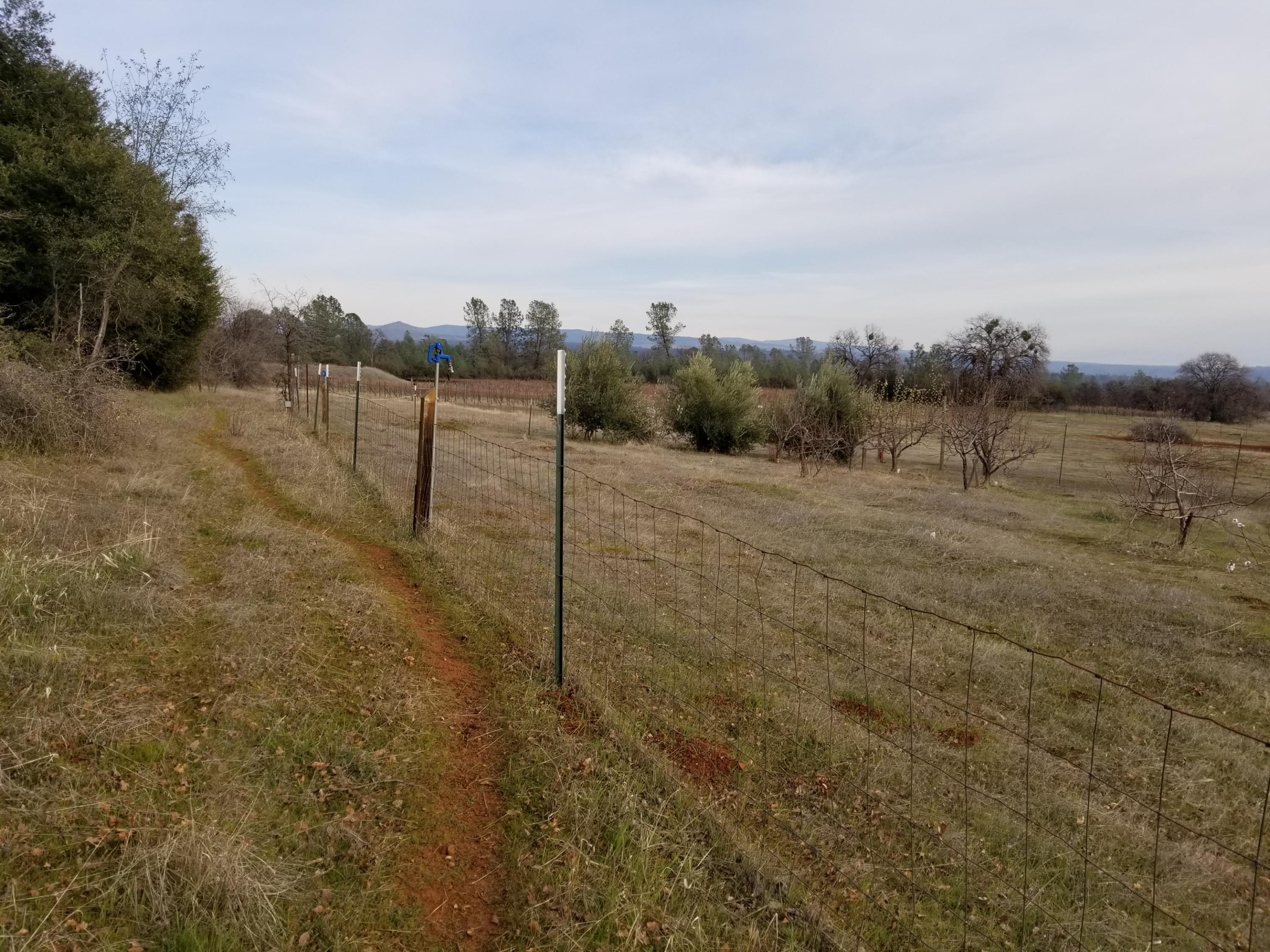 5775 Wilson Hill Road Manton, CA 96059 - Photo 41 of 49 20200228_161145
