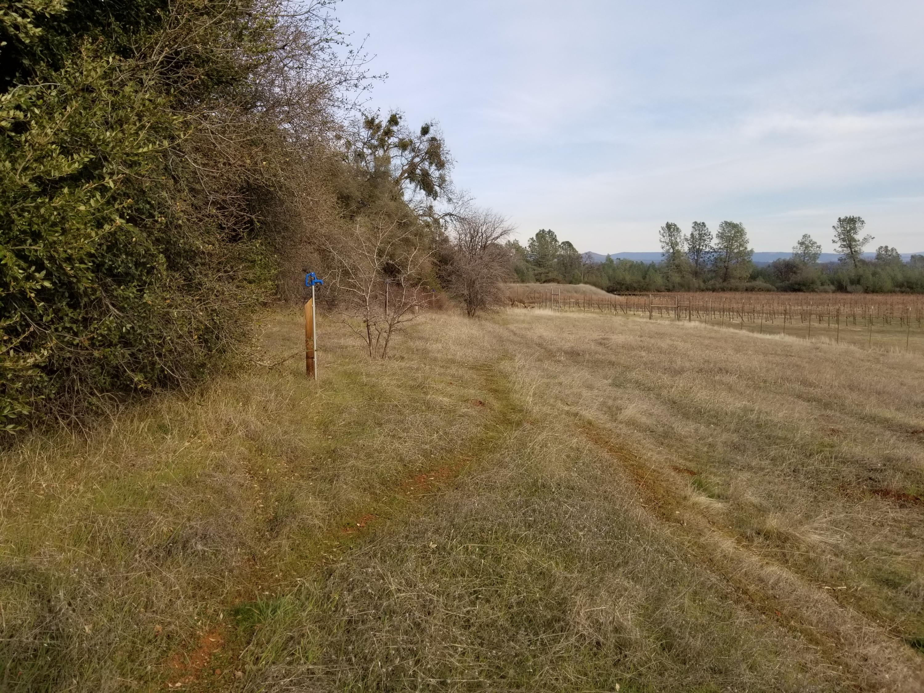 5775 Wilson Hill Road Manton, CA 96059 - Photo 42 of 49 20200228_161254